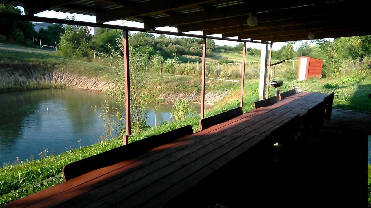 Villa Barbecue House à Vinnytsia Extérieur photo