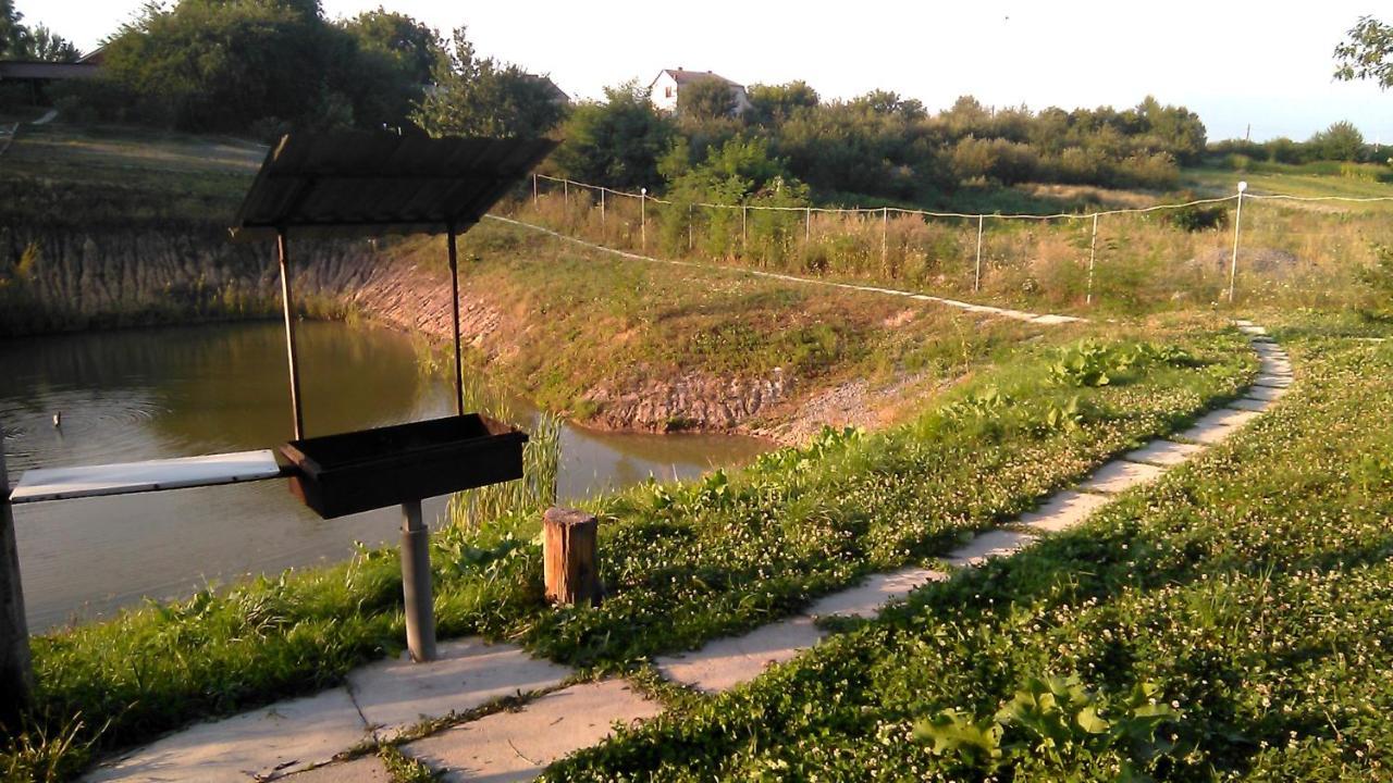 Villa Barbecue House à Vinnytsia Extérieur photo