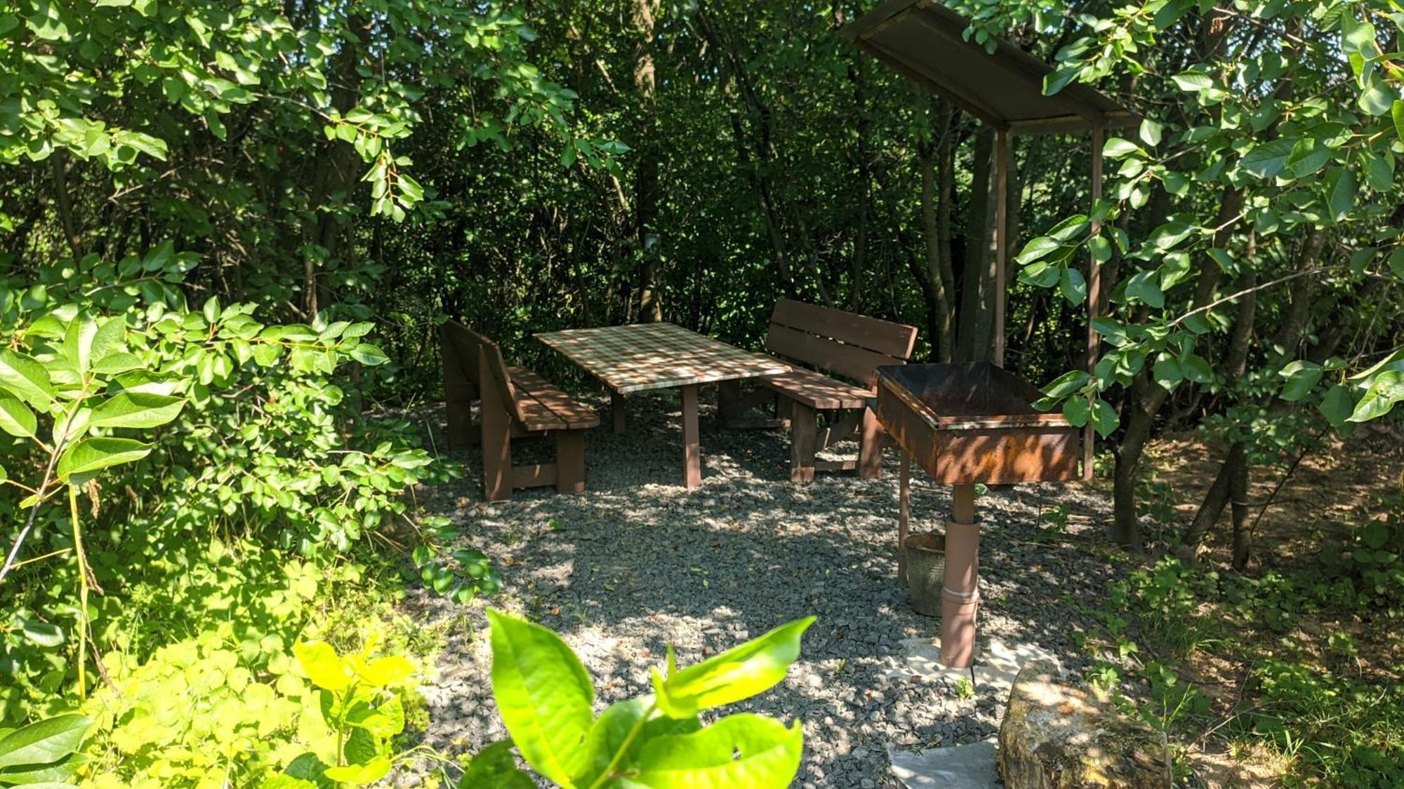 Villa Barbecue House à Vinnytsia Extérieur photo